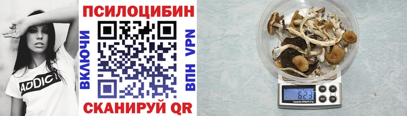 ссылка на мегу   даркнет формула  Псилоцибиновые грибы Psilocybine cubensis  Неман 